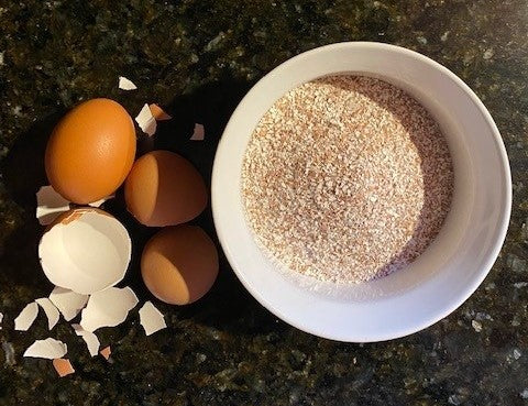 Eggceptional Eggshell Powder Only - EXFOLIATE
